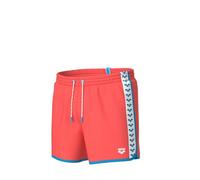 ARENA Men's Icons Team Stripe Beach Shorts