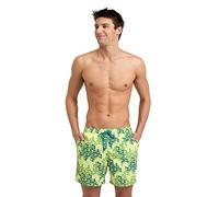 Arena Men's Men's Beach Boxer Allover Board Shorts