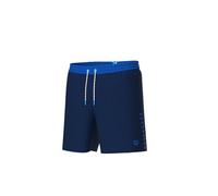 ARENA Men's Team Stripe Beach Boxer