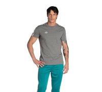 Arena Men's Team Stripe T-Shirt