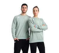 Arena Men's Unisex Sweatshirts Pullover, Team Essential, Mint, M