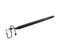 Areyourshop LR075420 Electric Tailgate Strut, LR074798, LR075419,LR115494 Rear Boot Lid Gas Spring Strut LR075419 Fit for Land Rover Discovery Sport L550 LC
