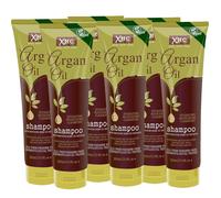 Argan Oil Shampoo for All Hairs 250ml - Pack 6