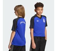 Adidas Argentina 26/27 Away Pre Match Junior Short Sleeve T-shirt Blue 9-10 Years Kids