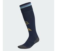 Argentina 26 Home Socks