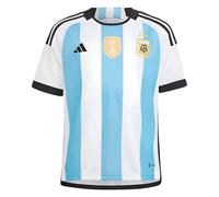 Argentina Personalised 2022 World Cup Winners Home Shirt in Blue | Size: XL Argentina Blue XL