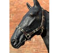 Argentina Polo Leather Horse Headcollar Halter, Embroidered, 76.2 cm, Brown Green/wHITE (Full)