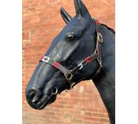 Argentina Polo Leather Horse Headcollar Halter, Embroidered, 76.2 cm, Brown/Red/White/Green (Full)