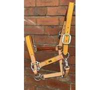 ARGENTINIAN LEATHER HEADCOLLAR HALTER COW LEATHER EXTRMELY SOFT LEATHER YELLOW (Full)