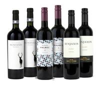 Argentinian Malbec Wine Case of 6 - Premium Red Wines from Mendoza