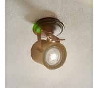 Argon Canico ceiling spotlight, 1-bulb, black