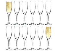 Argon Tableware Classic Champagne Flutes - 220ml - Pack of 12 in Clear Argon Tableware Clear