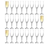 Argon Tableware Classic Champagne Flutes - 220Ml - Pack Of 24