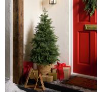 Argos Home 4ft Potted Conifer Artificial Christmas Tree