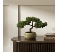 Argos Home Artificial Bonsai Tree in Ceramic Glaze Pot