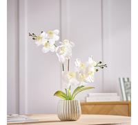 Argos Home Artificial White Orchids in Cream Ceramic Pot - 53cm