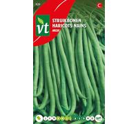 Argus Beans Seeds per gram - Green beans with very long pods - 40 g - Seeds per gram: 3