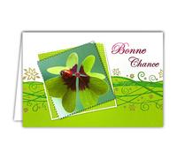 Argus Good Luck Card Lucky Charm Success Card 4 Leaf Clover Ladybird Gold Flowers Shiny Green Scroll Printed Interior Envelope Size 12 x 17.5 cm Made in Europe 15-6170