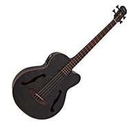 Aria FEB-F2M Medium Scale Bass Stained Black