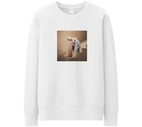 Ariana Grande Sweatshirt: Staircase OFFICIAL NEW