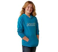 ARIAT Youth 3D Logo 2.0 Hoodie 10043322 Mosaic Blue, Mosaic Blue, S