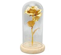ARIATI 24K Eternal Rose for Women/Wife/Grandma/Girlfriend for Her Rose Flower Artificial Gold Rose in Glass Dome with LED Light Strip on Mother's Day Valentine's Day,Anniversary