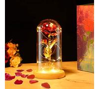 ARIATI 24K Eternal Rose for Women/Wife/Grandma/Girlfriend for Her Rose Flower Artificial Red Ros in Glass Dome with LED Light Strip on Mother's Day Valentine's Day,Anniversary