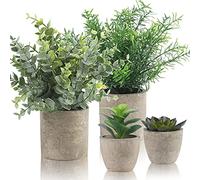 ARIATI Set of 4 Decorative Faux Plants with Pots - Mini Artificial Succulents, Eucalyptus, and Rosemary in Plastic Pots for Indoor Use - Perfect for Office Desk and Bedroom Décor