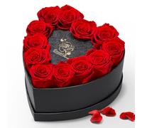 Ariceleo 12 Forever Flower Heart-Shaped Box - Preserved Roses, Eternal Gift for Her - Immortal Rose for Delivery Prime, Perfect for Mother's Day, Valentine's Day, Anniversary & Birthday - Romantic Red