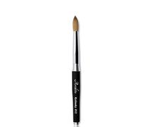 Aridito 100% pure Kolinsky Round Head Acrylic nail art brush black metal handle for Professional Manicure DIY Home Salon（#12#14#16#18） (#12)