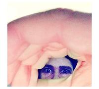 Ariel Pink - Odditties Sodomies Vol. 2 [VINYL]