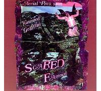Ariel Pink's Haunted Graffiti - Scared Famous