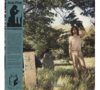 Ariel Pink's Haunted Graffiti The Doldrums - Sealed US 2-LP Double vinyl album record MEX269 Mexican Summer 2020