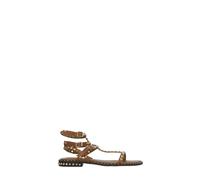 Ash Flat sandals PLAY in Brown 6