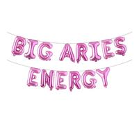 Aries Birthday Decorations - Zodiac Party Supplies with Big Aries Energy Balloon Banner for Constellation Zodiac 18th 20th 25th Birthday Party Decorations (BIG ARIES ENERGY Rose Red)