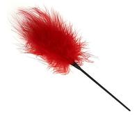 Arightmu 24cm/9.4 Inch Horse Riding Whip Soft Feather Tickler Furry Feather Teaser Feather Cleaning Duster for Costumes, Cosplay, and Decoration (Red)