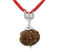Arihant Gems & Jewels Nepali & Indian Rudraksha Pendant in 925 Sterling Silver - Natural, Certified, Spiritual Beads for Men & Women, 7 Mukhi Rudraksha, Non-Precious Metal