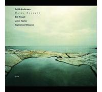 Arild Andersen - Molde Concert