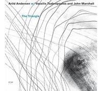 Arild Andersen Trio - The Triangle