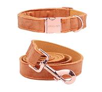 ARING PET Yellow Dog Collar and Lead, Velvet Collar and Leash Set, Comfortable Collar and Lead with Adjustable Metal Buckle for Boys&Girls Dogs, X-Small