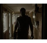 Arise My Love, Shake Off This Dream