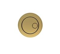 Arissa Brushed Brass Manual Push Button - To Use with Concealed Cistern MANCONCIS