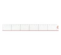 Aristo AR15430 Cutting Ruler Plexiglass 30 cm Transparent
