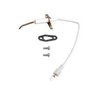Ariston Clas/Genus/E-System/E-Combi Ionisation Electrode 60000867-01 65105765