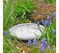 Aristotle Oasis Bird Bath and Drinker