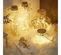 ARITAI Micro Fairy Lights with 20 Warm White LED Xmas Tree Lights for Bedroom, Christmas, Parties, Jars Decoration 2 metre Long