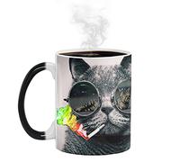 Ariycaz Cat Mug, Funny Cool Cat Mugs Cup 12oz Heat Reactive Color Changing Ceramic Coffee Mug Best Gift for Your Cat Mom Magic Mug