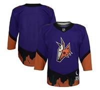 Arizona Coyotes Purple Blank Youth 8-20 Special Edition Premier Team Jersey, Purple, 14-20