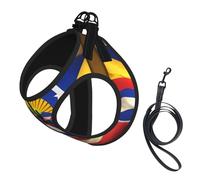 Arizona Flag-Standard Print Dog Harness Leash Set Reflective Pet Harness Puppy Vest Suitable Dogs Cats Small Breeds