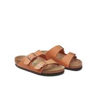 Arizona Mules camel